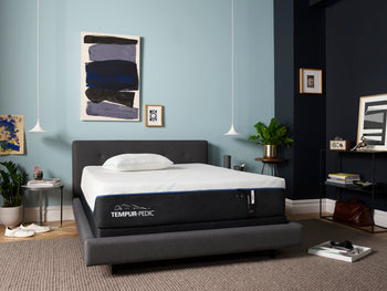 Tempur-pedic ProAdapt Soft